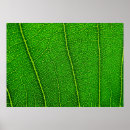 Recherche de nikon posters Photographie