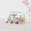 Recherche de chat et hibou cartes postales Chaton