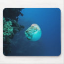 Search for barrier electronics Great barrier reef