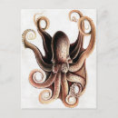 Search for octopus illustration postcards Kraken