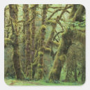 Search for rain forest stickers Washington