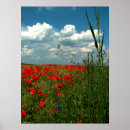 Recherche de amusement au soleil posters Été