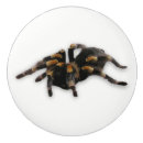 Recherche de araignée boutons et poignées de porte Effrayant