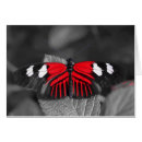 Recherche de papillons mites cartes postales Rouge