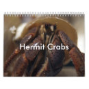Search for hermit office supplies Crabs