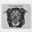 Search for lab mousepads Pet