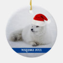 Search for white fox ornaments Cute