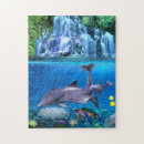 Search for dolphin puzzles Coral