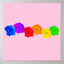 Search for rainbow rose posters Flower