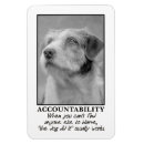 Recherche de responsabilité magnets Humour