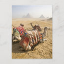Search for dave postcards Culture