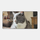 Recherche de chat gris et blanc tapis souris Animal