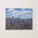 Search for lavender field puzzles Floral