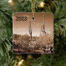 Search for desert ornaments Travel