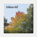 Search for for fall magnets Yellow