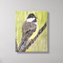 Search for chickadees canvas prints Wildlife