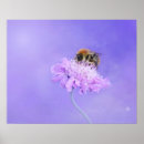Search for bumble bee posters Flower