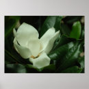 Search for zen painting posters Elegant