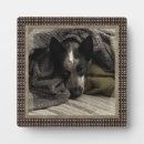 Recherche de métallique plaques Image