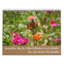 Recherche de papillon autres Nature