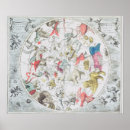 Search for star chart posters Andreas
