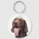 Search for pointer dog keychains Gsp