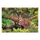 Recherche de denali Repos