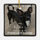 Search for adoption ornaments Forever home