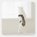 Search for rearing stickers Animal