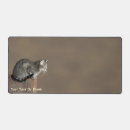 Search for tabby cat electronics Pets
