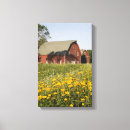 Recherche de tournesol rouge art Pays