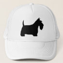 Recherche de terriers casquettes Chien