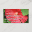 Recherche de le hibiscus cartes visite Toute personne