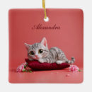 Recherche de oeillet ornements Carnation