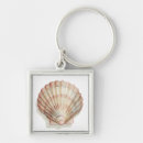 Search for seashell keychains Beach