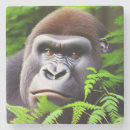 Recherche de gorille dessous de verres Jungle