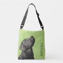 Search for laboratory handbags Illustration
