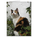 Recherche de animal familier photographie Écaille