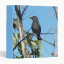 Search for feed binders Bird