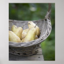 Search for picking posters Food