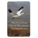 Search for bird flight magnets Flying