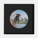 Search for bird hunt magnets Yellow lab