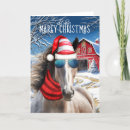 Search for horse lover christmas cards Horses