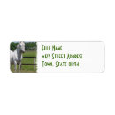 Search for arabian return address labels Equine