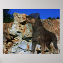Search for rottweilers art Animal