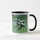 Search for dendrobates Cute