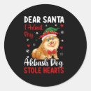 Search for akbash Xmas
