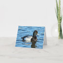 Search for bird hunt cards Ducks