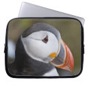 Search for puffin electronics Black