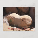 Search for whale postcards Nature